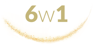 6w1