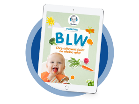 BLW ebook