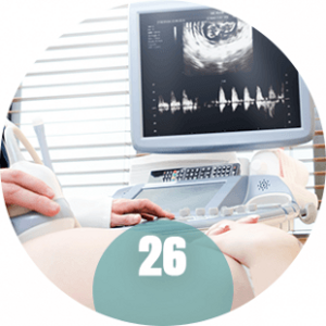 Dziecko na USG w 26 tygodniu ciąży Dziecko na USG w 26 tygodniu ciąży
