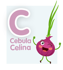 cebula-celina