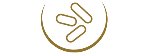 DUALBIOTIK DUALBIOTIK